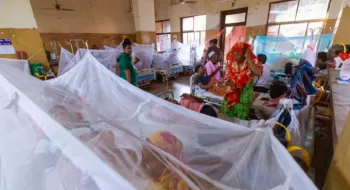 ডেঙ্গুতে হাসপাতালে ভর্তি আরও ১৮২ জন