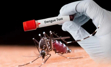 ডেঙ্গুতে একদিনে রেকর্ড ১০ জনের মৃত্যু