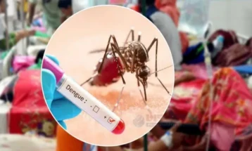 ডেঙ্গুতে আরও ৭ জনের মৃত্যু, হাসপাতালে ১৩৭৩