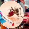 ডেঙ্গুতে আরও ৭ জনের মৃত্যু, হাসপাতালে ১৩৭৩
