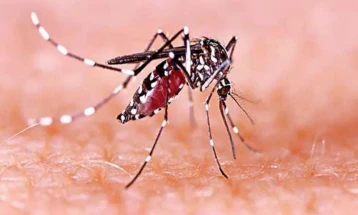 ডেঙ্গুতে ২৪ ঘণ্টায় ৪ মৃত্যু